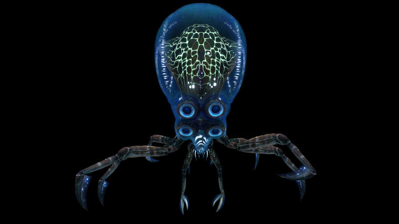 File:Crabsquid Front View.png
