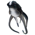 Thumbnail for version as of 00:17, 8 September 2017