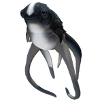 Cuddlefish Fauna.png
