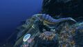 Bone Shark are in the minority and can found near mountain shelves and around major structures