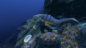 Grand Reef (46) .jpg