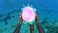 A Floater held in the players hands