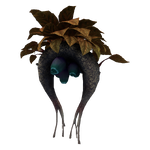 Horseshoe Shrub Flora.png
