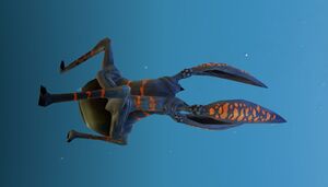 Jumper 10.jpg