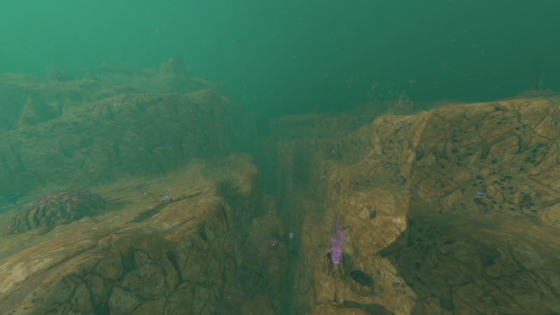 File:Purple Vents Northern Field.png