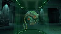 The fifth Relic