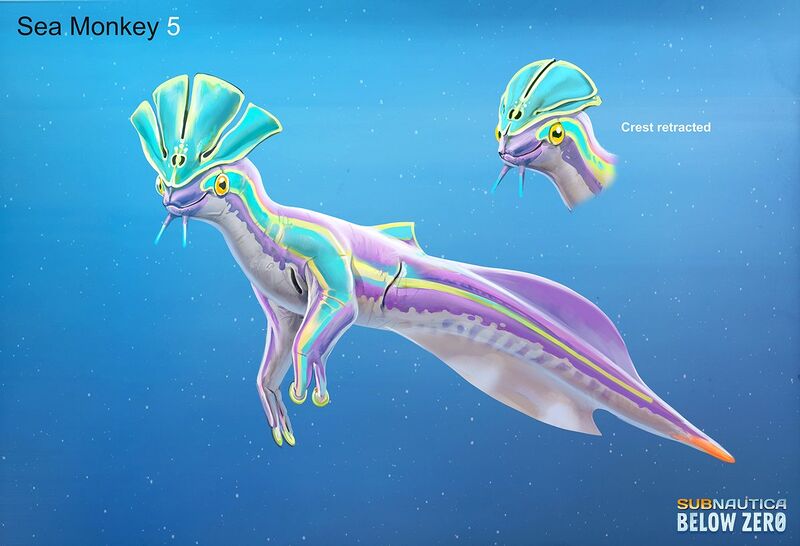 File:Sea Monkey.jpg