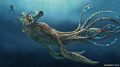 A Sea Emperor swimming in the Arctic