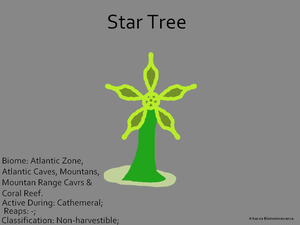 StarTreeConcept.png