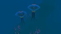 A pair of Juvenile Ventgardens swimming in the open