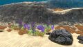 Thumbnail for version as of 18:17, 22 January 2018
