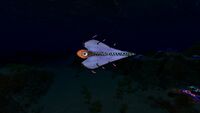 Bioluminescence