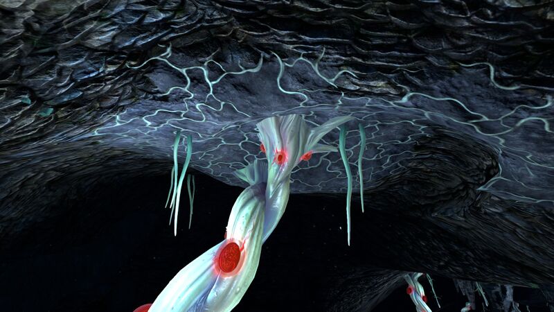File:Blood Kelp Caves (2).jpg