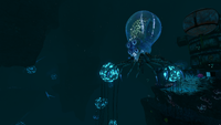DGR Crabsquid.png