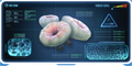 Thumbnail for version as of 15:24, 1 August 2017
