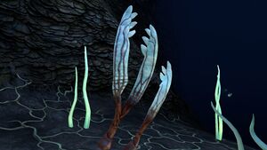 Gabe's Feather (2).jpg