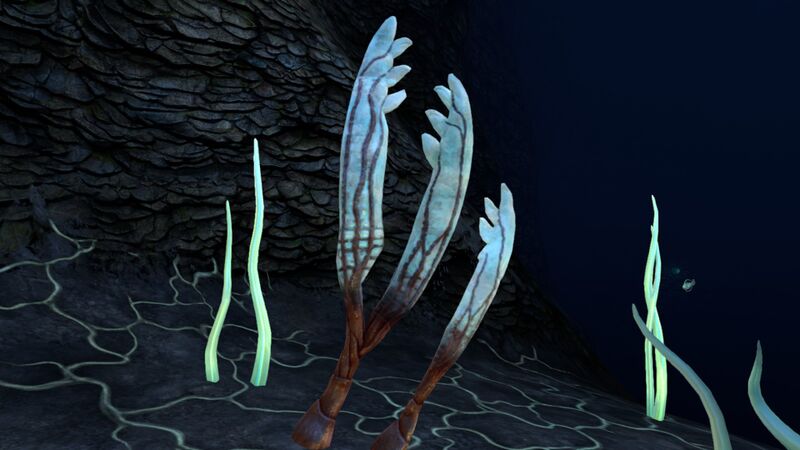 File:Gabe's Feather (2).jpg
