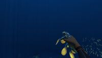 A Hoverfish held in the player's hand at night