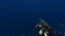 A Hoverfish held in the player's hand
