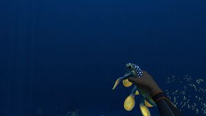 HoldingHoverfish2.jpg