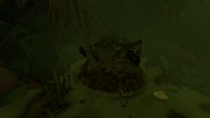 SeaMonkeyNest1.jpg
