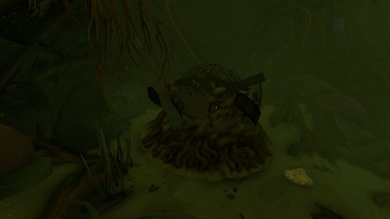 File:SeaMonkeyNest1.jpg
