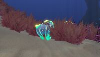 The Sea Crown on the sea-floor.