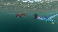 Squidshark attacking it's prey