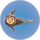 Cooked Oculus.png