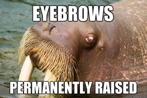 Demwalruseyes.jpeg