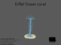 Eiffel Tower Coral Concept "Torre Eiffel Coral"