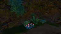 A view inside the Floating Island's small cave