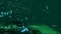 Thumbnail for version as of 09:32, 5 March 2017