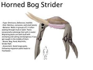 Horned Bog Strider Final.jpg