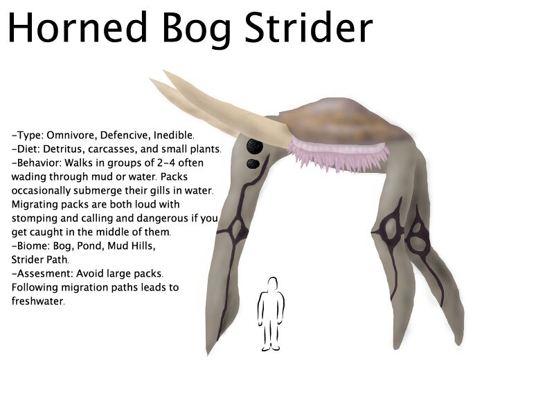 File:Horned Bog Strider Final.jpg
