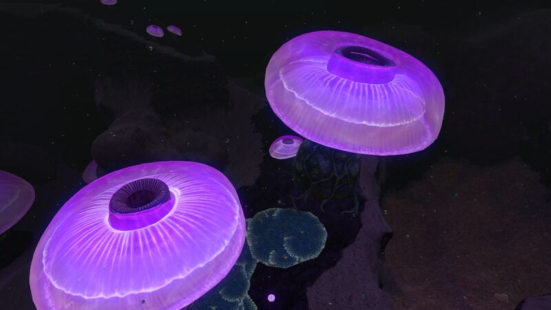 File:JellyShroom02.jpg