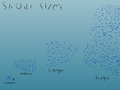 Shoal Size's Concept