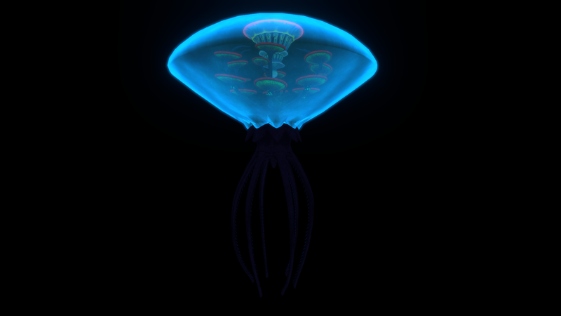 File:Small VG Night.png