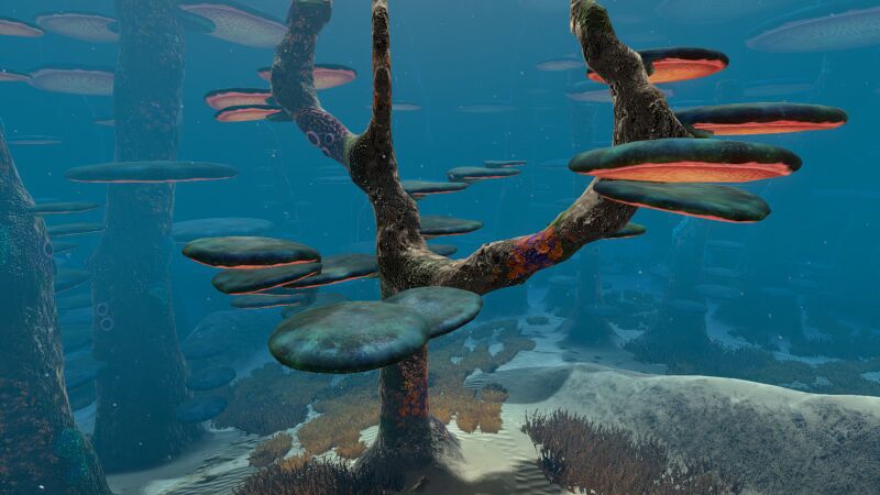 File:TreeMushroom01.jpg