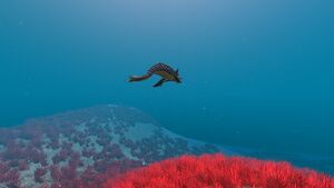 Bone Shark (3).jpg