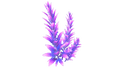 Thumbnail for version as of 00:45, 13 February 2016
