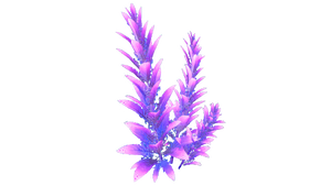 Purple Stalk Flora.png