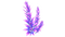 Purple Stalk Flora.png