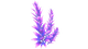 Purple Stalk Flora.png
