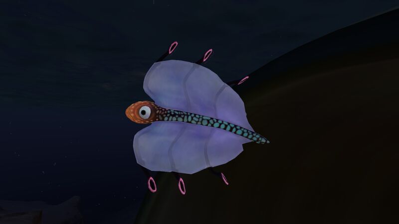 File:Airsack at night.jpg