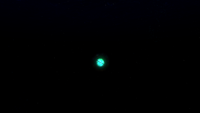 Bioluminescence
