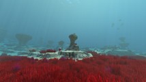linktext=Grassy Plateau