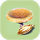 Jaffa Cup Seed.png