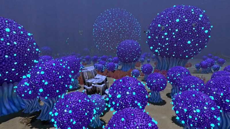 File:KooshZoneBushes.jpeg