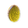 Root Globule Icon.png